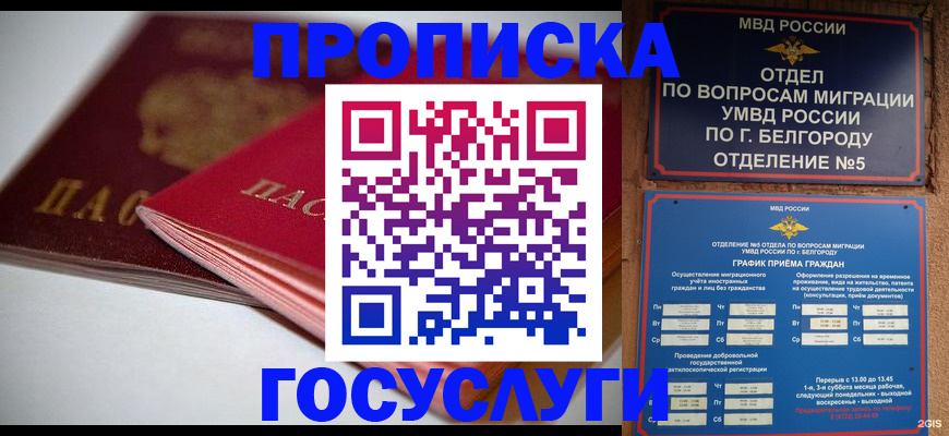 временная регистрация собственник в Норильске